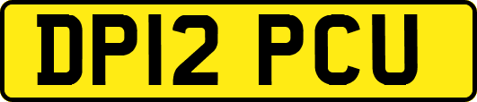 DP12PCU