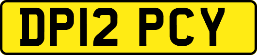 DP12PCY