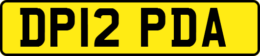 DP12PDA