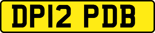 DP12PDB