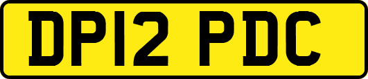 DP12PDC