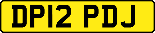 DP12PDJ