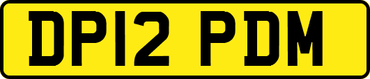 DP12PDM