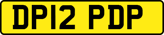 DP12PDP