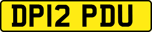 DP12PDU