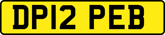 DP12PEB