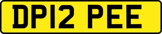 DP12PEE