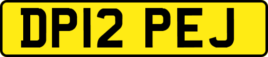 DP12PEJ