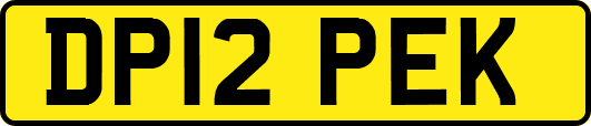 DP12PEK