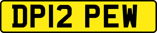 DP12PEW