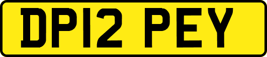 DP12PEY