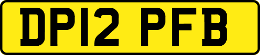 DP12PFB