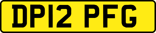 DP12PFG