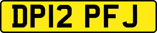 DP12PFJ