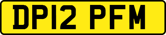DP12PFM