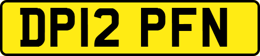 DP12PFN