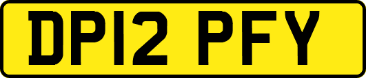 DP12PFY