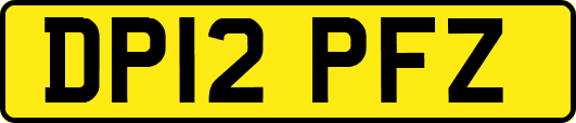 DP12PFZ