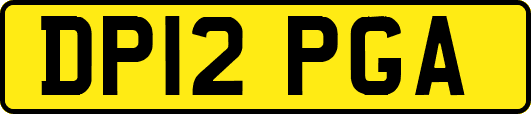 DP12PGA