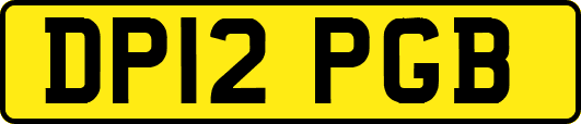 DP12PGB