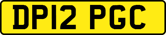 DP12PGC