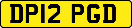 DP12PGD