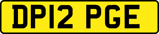 DP12PGE