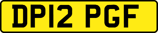 DP12PGF