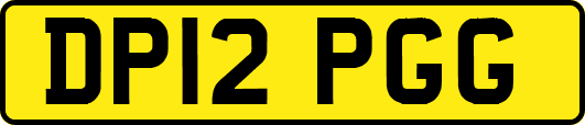 DP12PGG