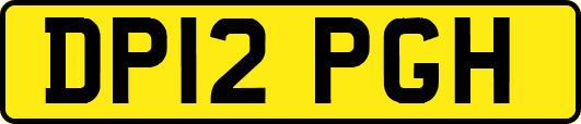 DP12PGH