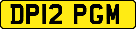 DP12PGM