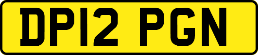 DP12PGN