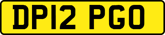 DP12PGO