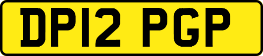 DP12PGP
