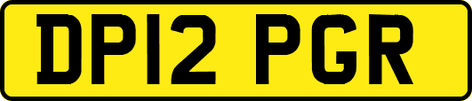 DP12PGR