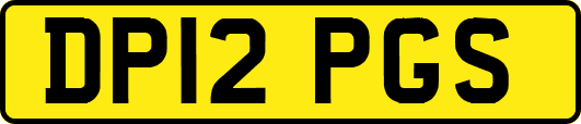 DP12PGS