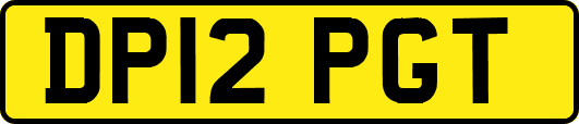 DP12PGT