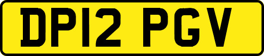 DP12PGV