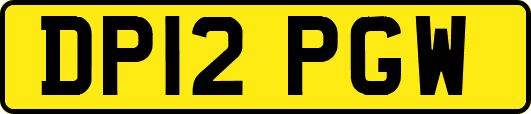DP12PGW