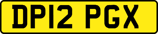 DP12PGX