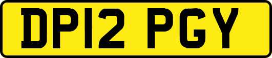 DP12PGY