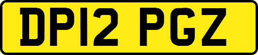 DP12PGZ