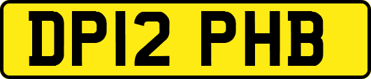 DP12PHB