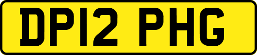 DP12PHG