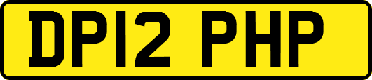 DP12PHP