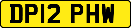 DP12PHW