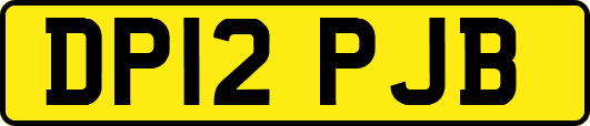 DP12PJB