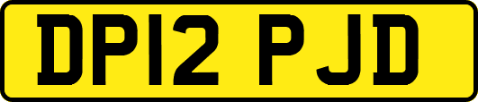 DP12PJD