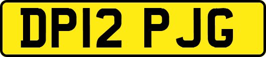 DP12PJG