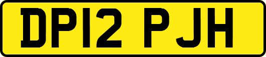 DP12PJH